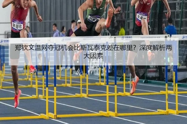 郑钦文温网夺冠机会比斯瓦泰克差在哪里？深度解析两大因素